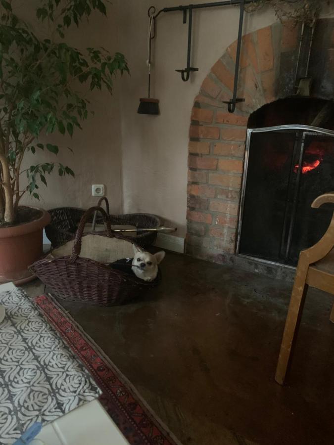 Appartamento Gutshaus Schwarzenhof Dargun Esterno foto