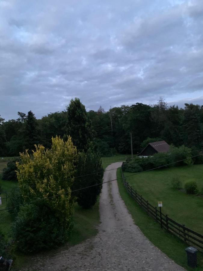 Appartamento Gutshaus Schwarzenhof Dargun Esterno foto