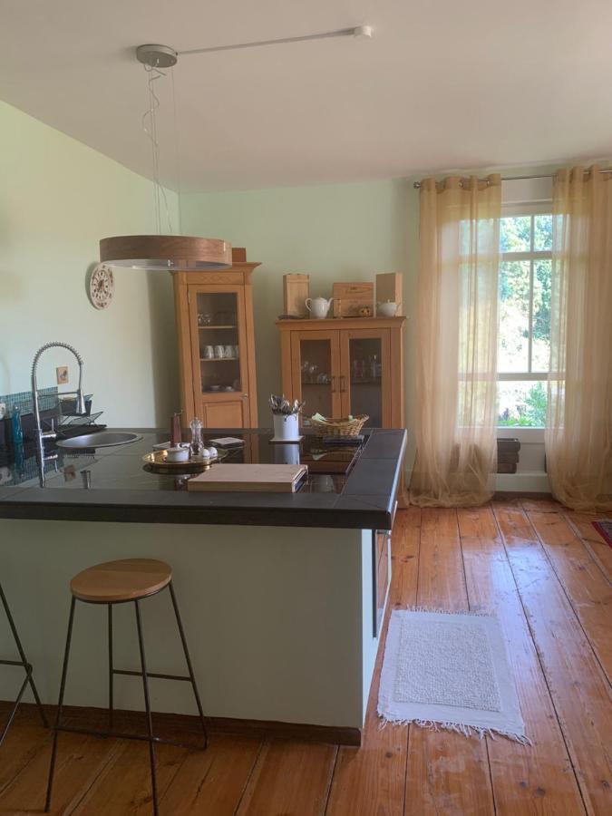 Appartamento Gutshaus Schwarzenhof Dargun Esterno foto
