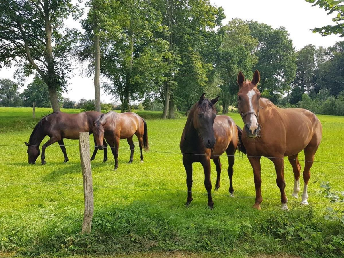 Appartamento Gutshaus Schwarzenhof Dargun Esterno foto