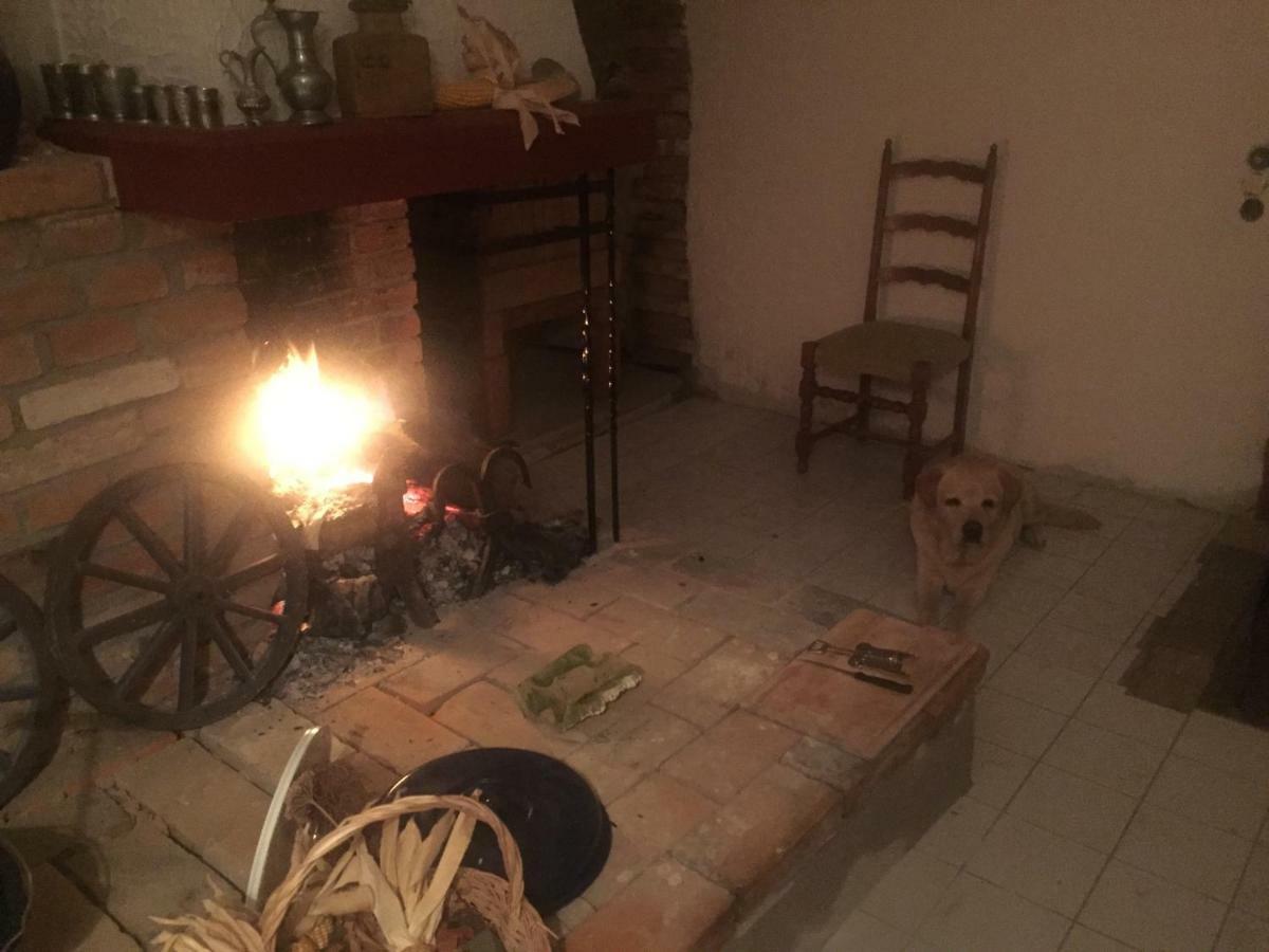 Appartamento Gutshaus Schwarzenhof Dargun Esterno foto