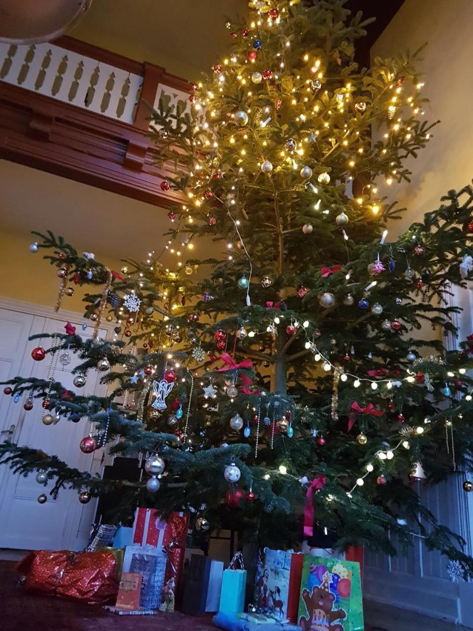 Appartamento Gutshaus Schwarzenhof Dargun Esterno foto